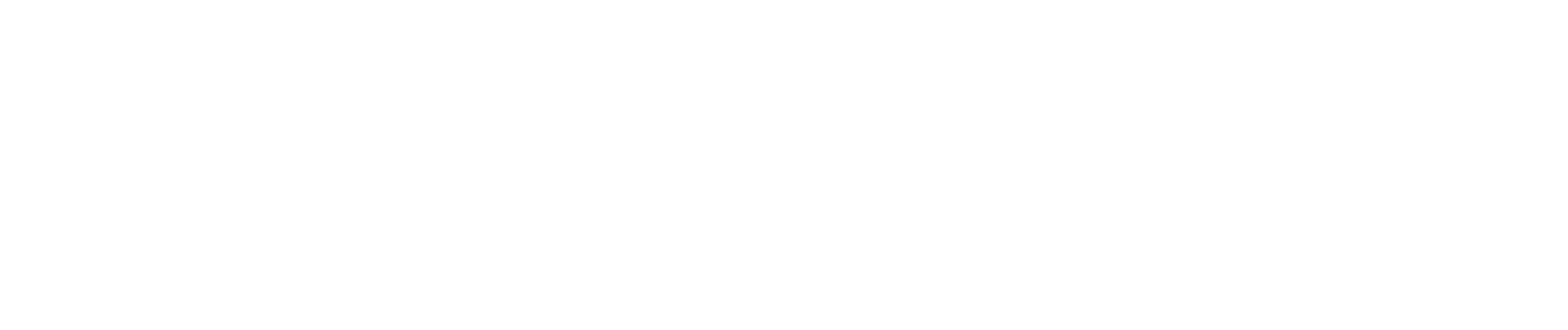 Patrocinador CANEI